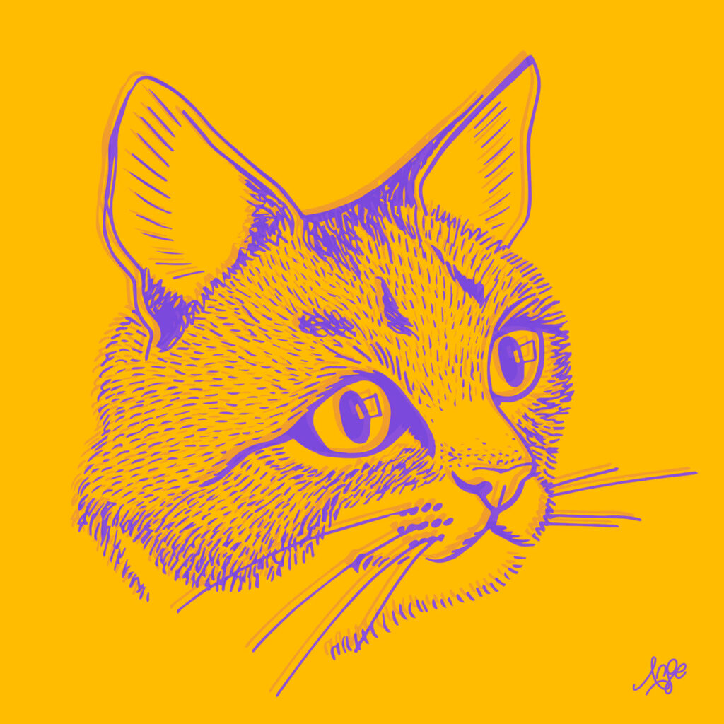 Gato